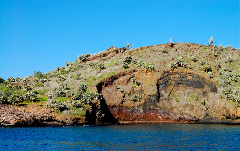 Champion Island, Galápagos - Champion-Island-Gal-pagos-Ecuador_431.jpg